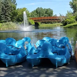 Bower Ponds - Red Deer