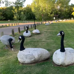 Bower Ponds - Red Deer