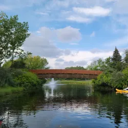 Bower Ponds - Red Deer