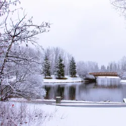 Bower Ponds - Red Deer