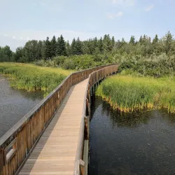 Gaetz Lakes Sanctuary - Red Deer