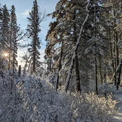Gaetz Lakes Sanctuary - Red Deer