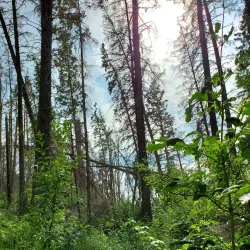 Gaetz Lakes Sanctuary - Red Deer