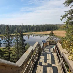 Gaetz Lakes Sanctuary - Red Deer
