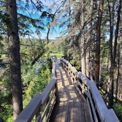 Gaetz Lakes Sanctuary - Red Deer