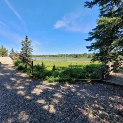Gaetz Lakes Sanctuary - Red Deer