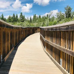 Gaetz Lakes Sanctuary - Red Deer