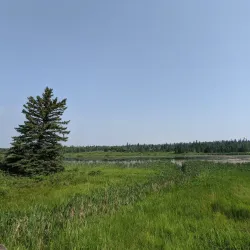 Gaetz Lakes Sanctuary - Red Deer