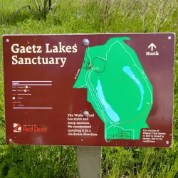 Gaetz Lakes Sanctuary - Red Deer