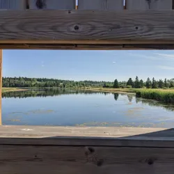 Gaetz Lakes Sanctuary - Red Deer