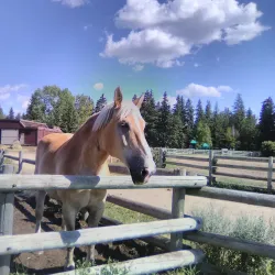 Heritage Ranch - Red Deer