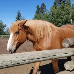 Heritage Ranch - Red Deer