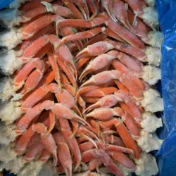 Red Deer Farmers' Market - Red Deer