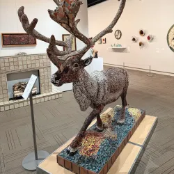 Red Deer Museum + Art Gallery - Red Deer