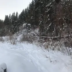 Red Deer River - Red Deer
