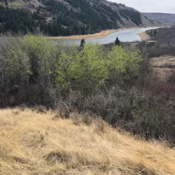 Red Deer River - Red Deer