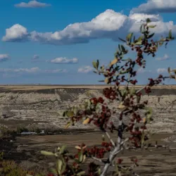 Red Deer River - Red Deer