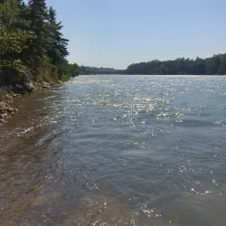 Red Deer River - Red Deer