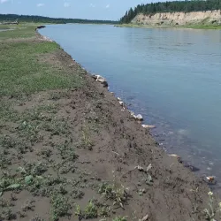 Red Deer River - Red Deer