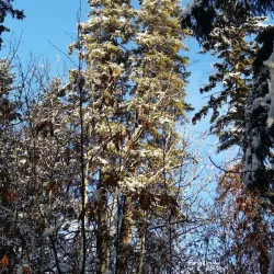 Waskasoo Park - Red Deer