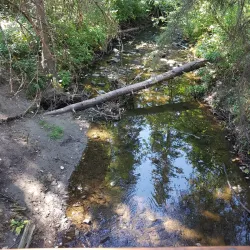 Waskasoo Park - Red Deer