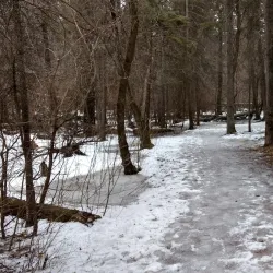 Waskasoo Park - Red Deer