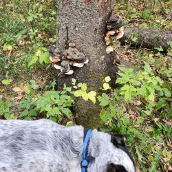 Waskasoo Park - Red Deer