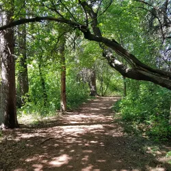 Waskasoo Park - Red Deer