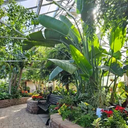 Regina Floral Conservatory - Regina
