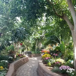 Regina Floral Conservatory - Regina