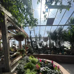 Regina Floral Conservatory - Regina