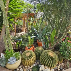 Regina Floral Conservatory - Regina