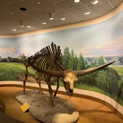 Royal Saskatchewan Museum - Regina