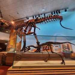 Royal Saskatchewan Museum - Regina