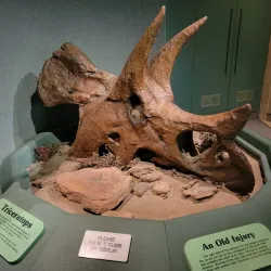 Royal Saskatchewan Museum - Regina