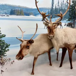 Royal Saskatchewan Museum - Regina