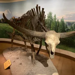 Royal Saskatchewan Museum - Regina