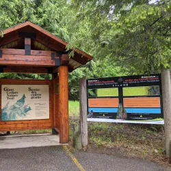Giant Cedars Boardwalk Trail - Revelstoke