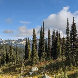 Meadows in the Sky Parkway - Revelstoke