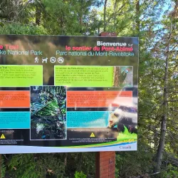 Meadows in the Sky Parkway - Revelstoke