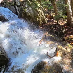 Meadows in the Sky Parkway - Revelstoke