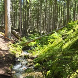 Meadows in the Sky Parkway - Revelstoke