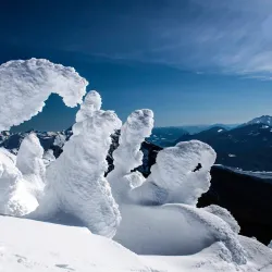 Mount Mackenzie - Revelstoke