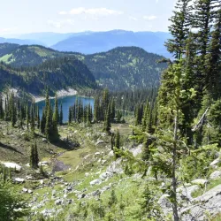 Mount Revelstoke National Park - Revelstoke