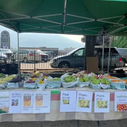 Revelstoke Farmers Market - Revelstoke