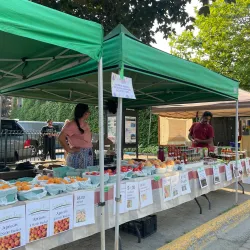 Revelstoke Farmers Market - Revelstoke