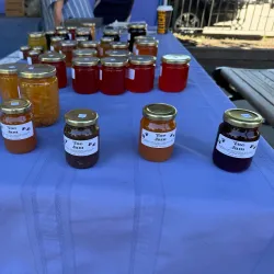 Revelstoke Farmers Market - Revelstoke