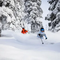Revelstoke Mountain Resort - Revelstoke