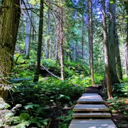 Skyline Trail - Revelstoke