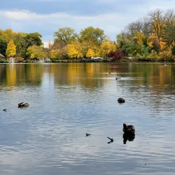 Mill Pond Park - Richmond Hill